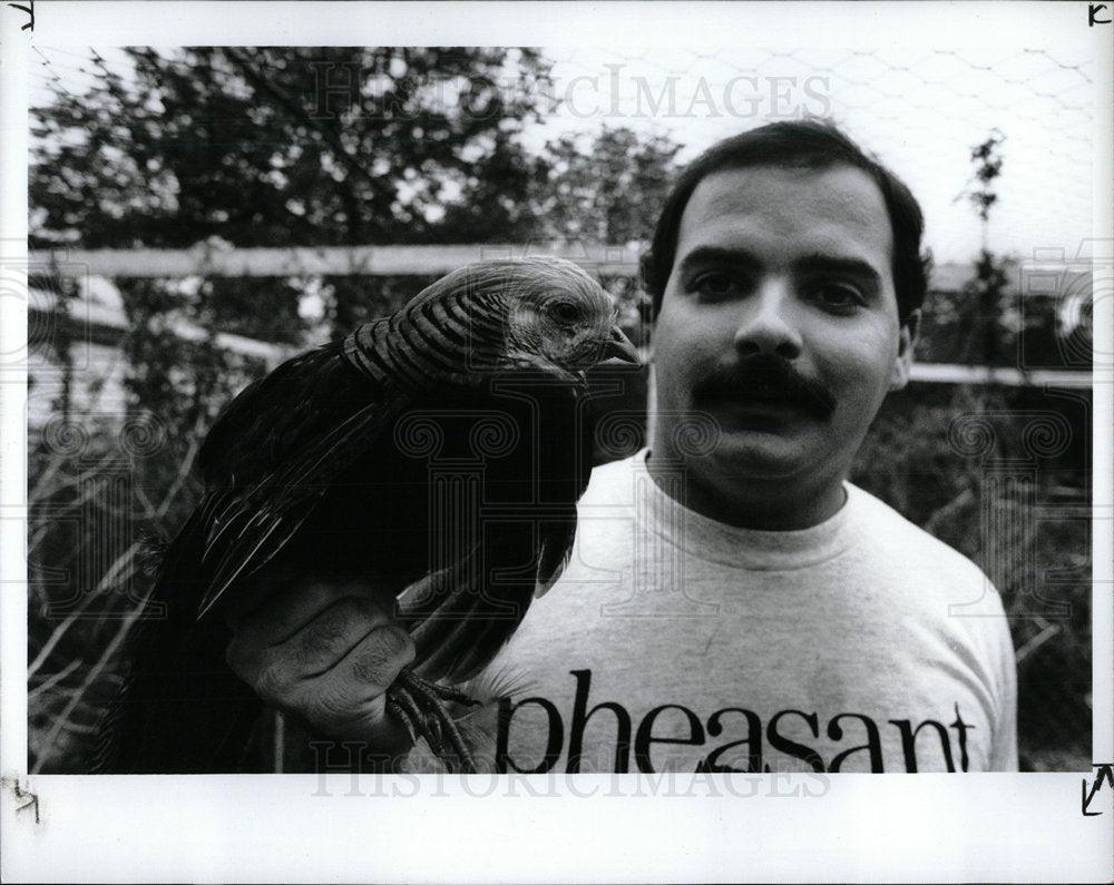 1991 Press Photo John Curcio Taylor Pheasants - Historic Images