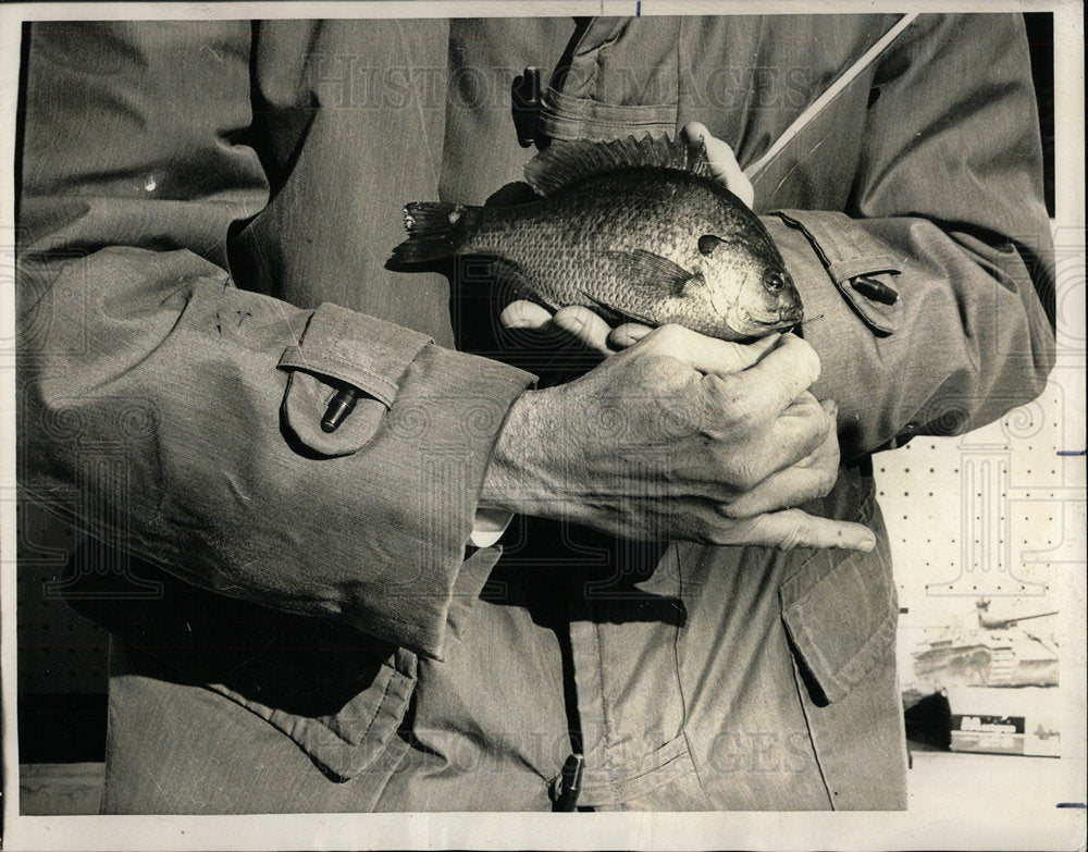 1963 Press Photo Ice fishing for bluegills - Historic Images