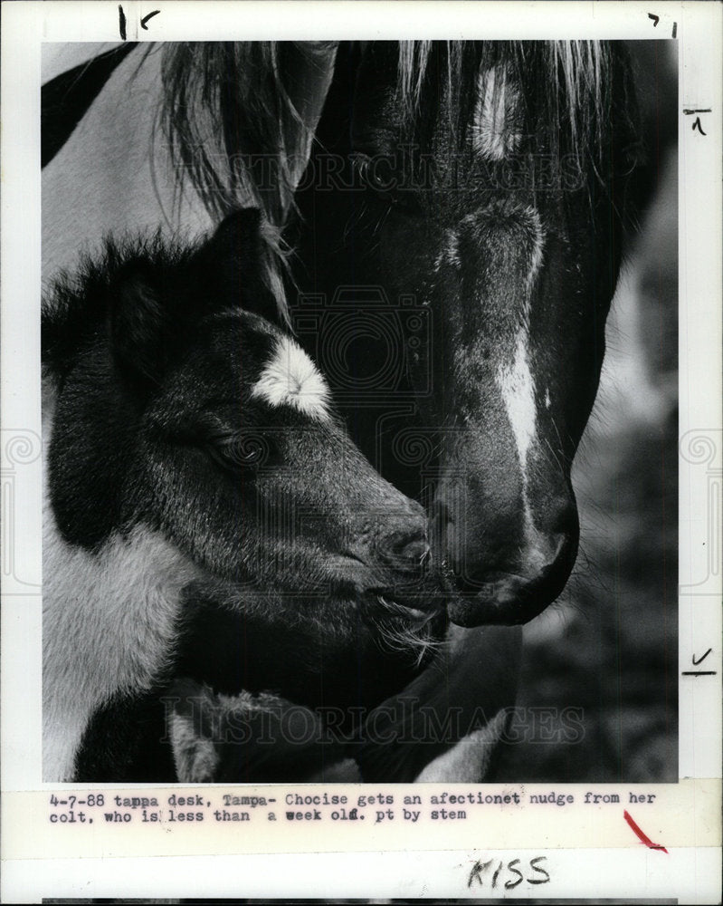 1988 Press Photo Mama and baby share ab affectionate mo - Historic Images