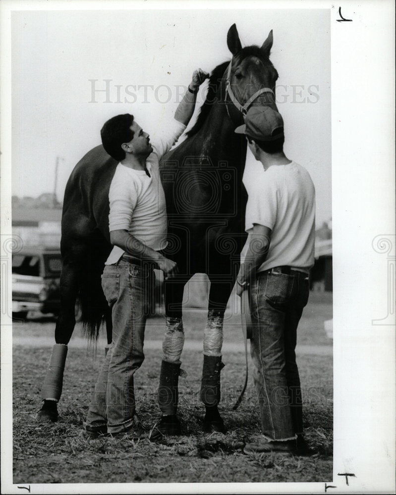 1990 Press Photo Manny Castro Grooms The Horse - Historic Images