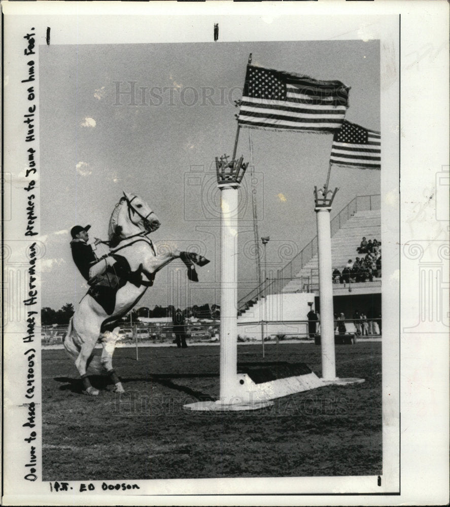 1980 Press Photo Harry Hermann Prepars Jump Hurdle - Historic Images