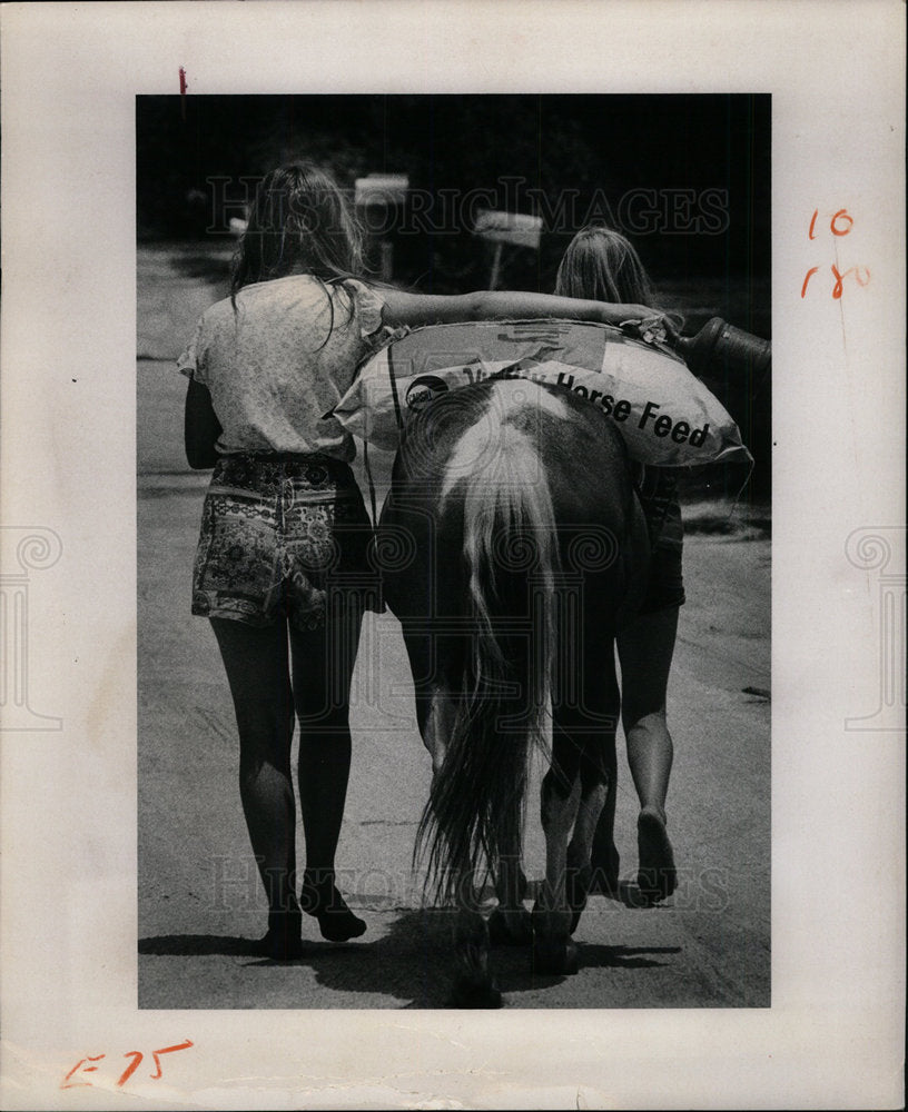 1974 Press Photo Two girls with horse feed on top of ho - Historic Images