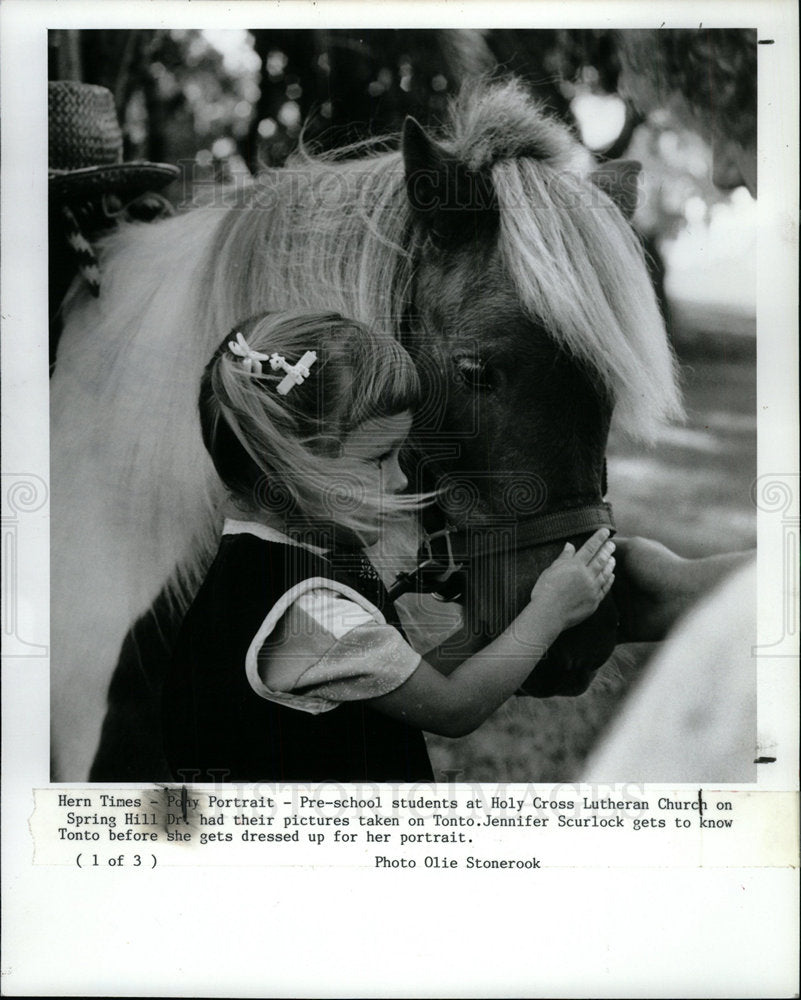 1990 Press Photo Jennifer Tonto horse hops back picture - Historic Images