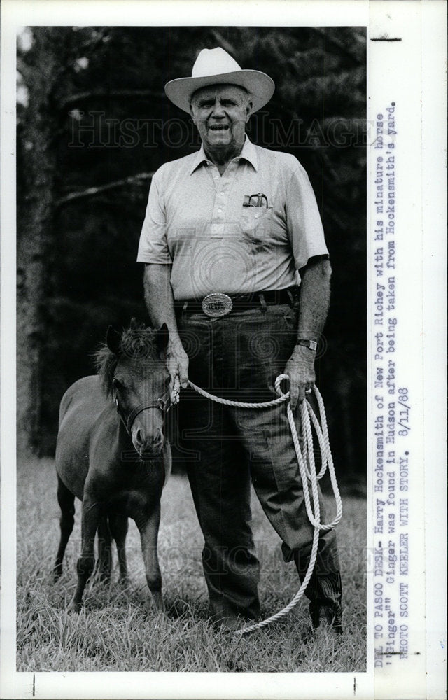1988 Press Photo Miniature Horse Breed Animal  - Historic Images