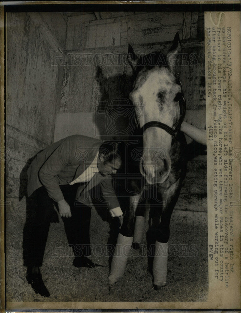1972 Press Photo Race Horse Tinajero - Historic Images