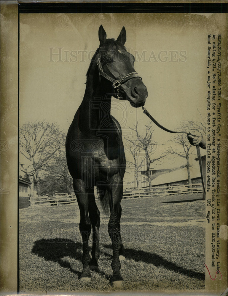 Traffic Cop Racing Horse  Aqueduct Race Track - Historic Images