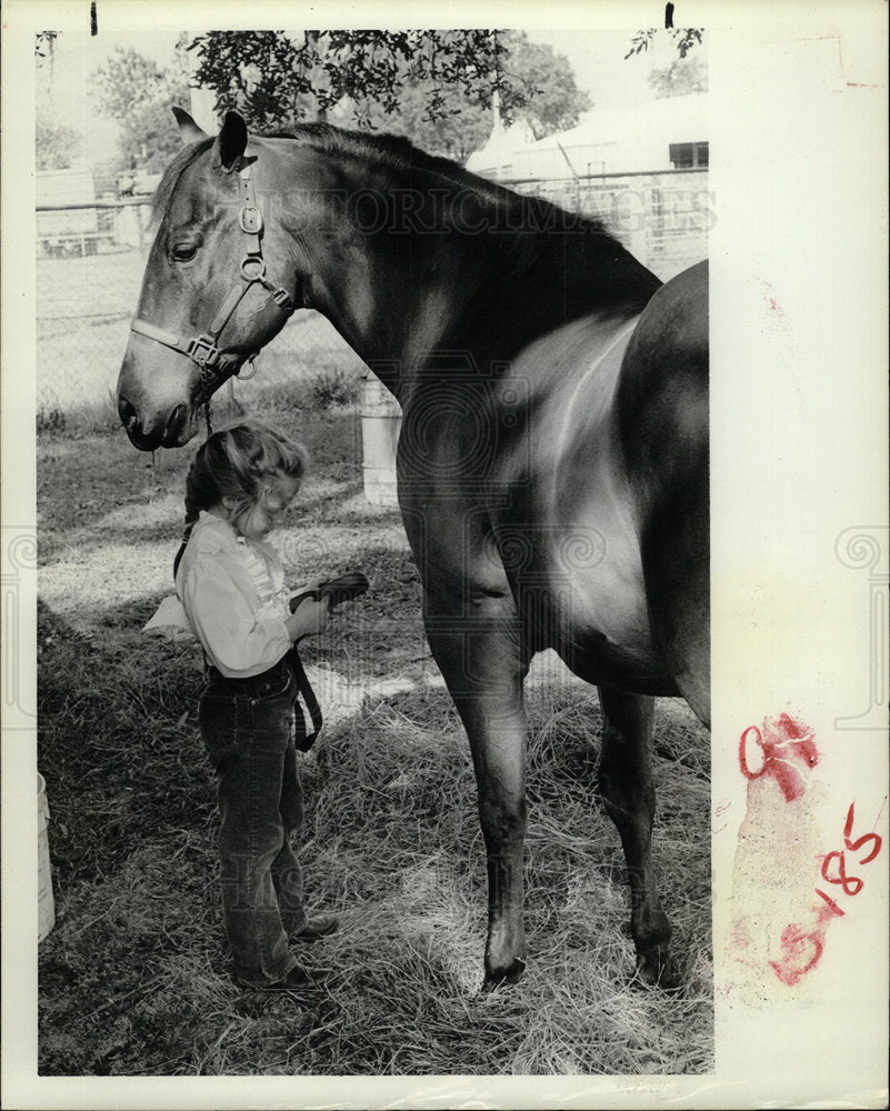 1983 Photo Hernando County Fairground Horse Show - Historic Images