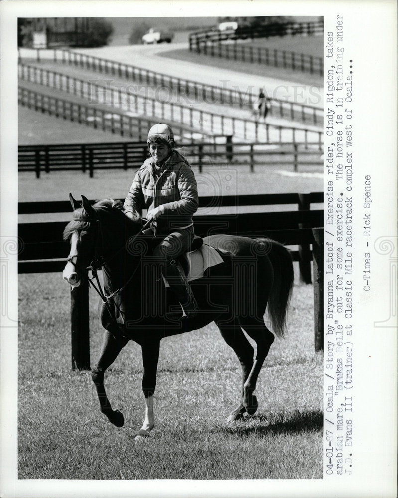 1987 Press Photo Rigdon rider Arabian mare exercise - Historic Images