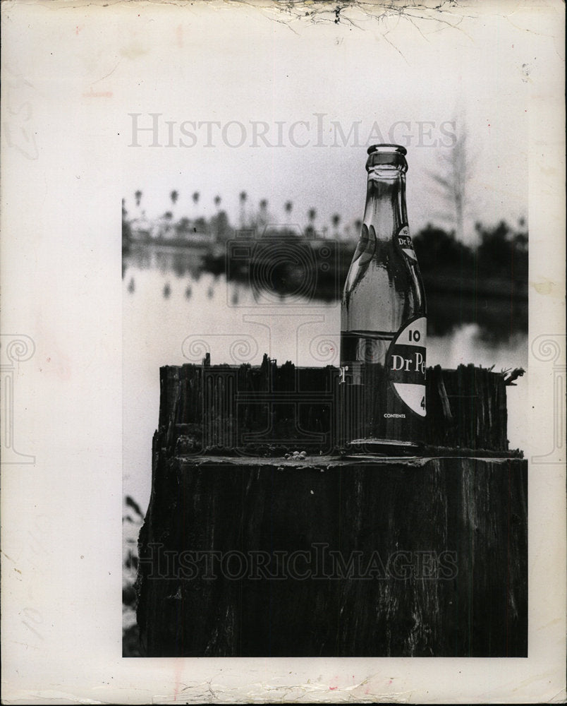 1964 Press Photo Nature&#39;s texture in contrast  - Historic Images