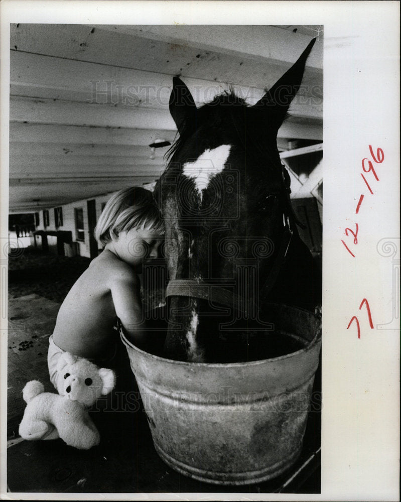 1977 Press Photo Hagstrom checks feed horse Smokey - Historic Images