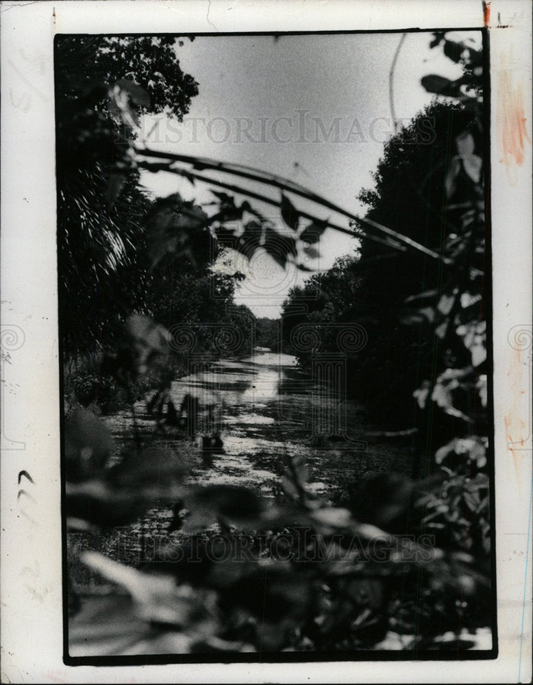 1974 Press Photo Homosassa  - Historic Images