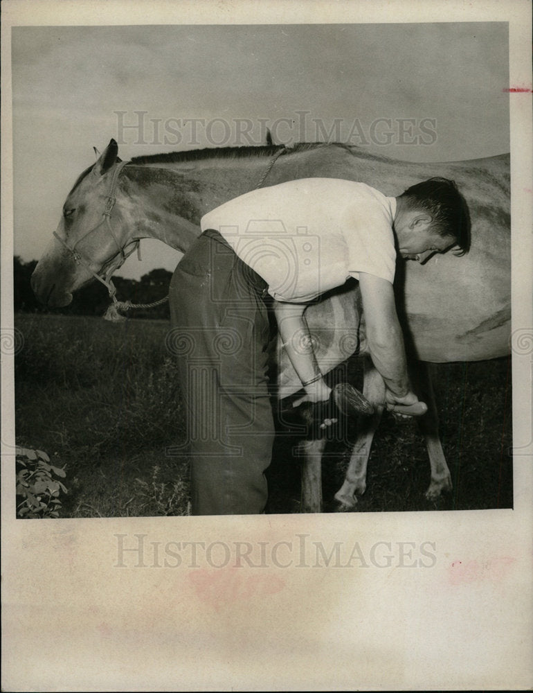 1967 Press Photo Colt Gets A Professional Manicure - Historic Images