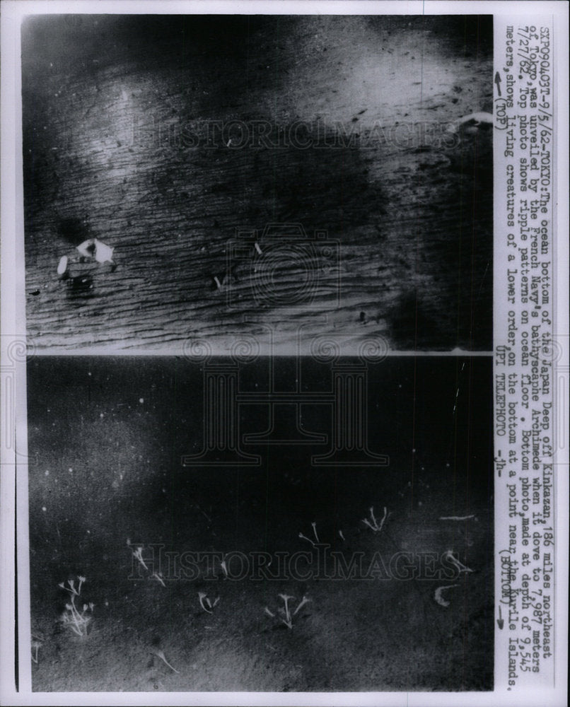 1962 Press Photo Japan Ocean Bottom Deep Kinkazan - Historic Images