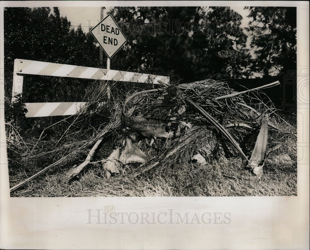 1978 Press Photo Pinellas Park - Historic Images