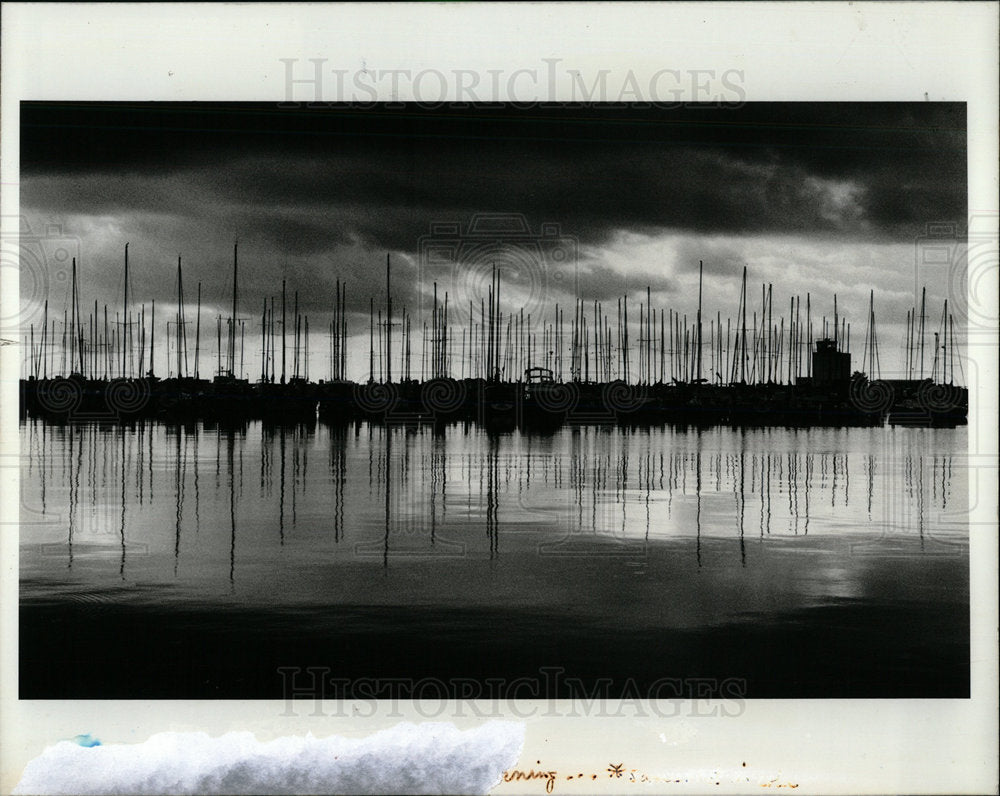 1991 Press Photo Boats Bob Off Downtown St.Petersburg. - Historic Images