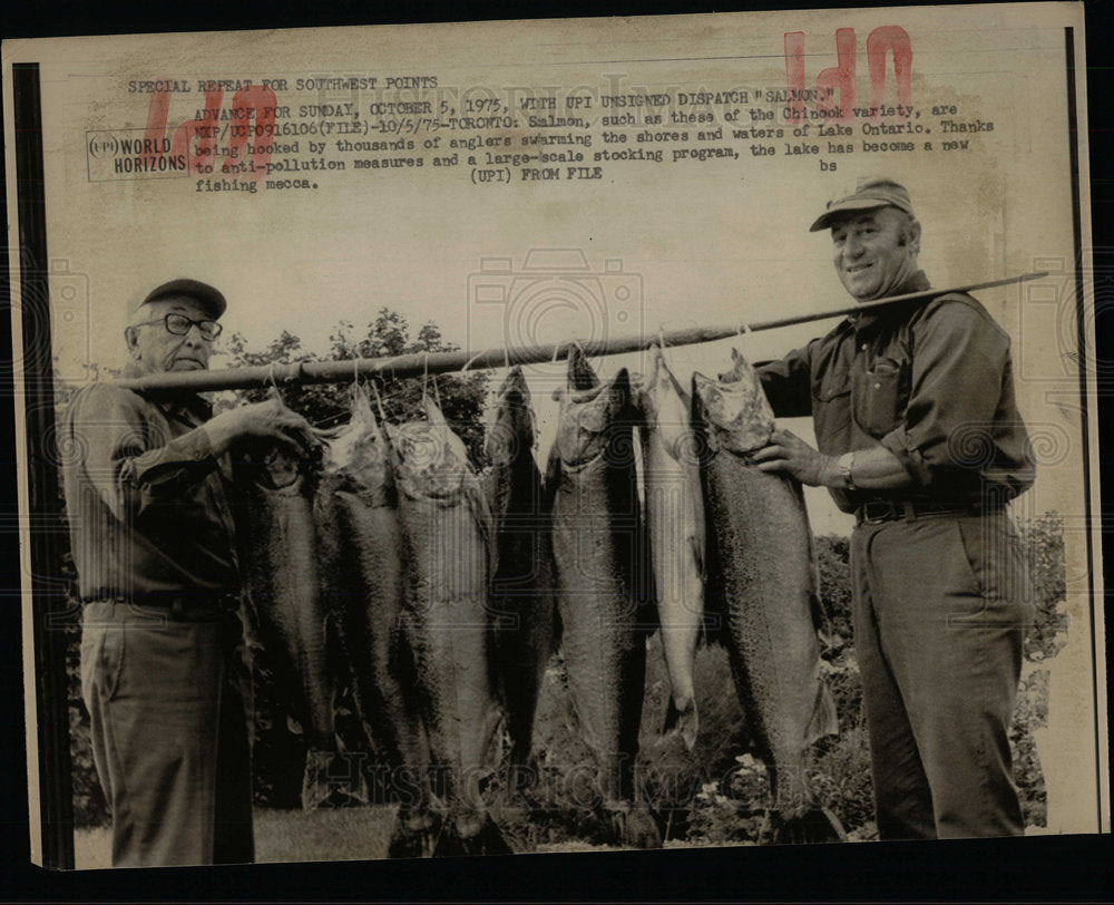 1975 Press Photo Salmon Chinook Fishing Lake Ontario  - Historic Images