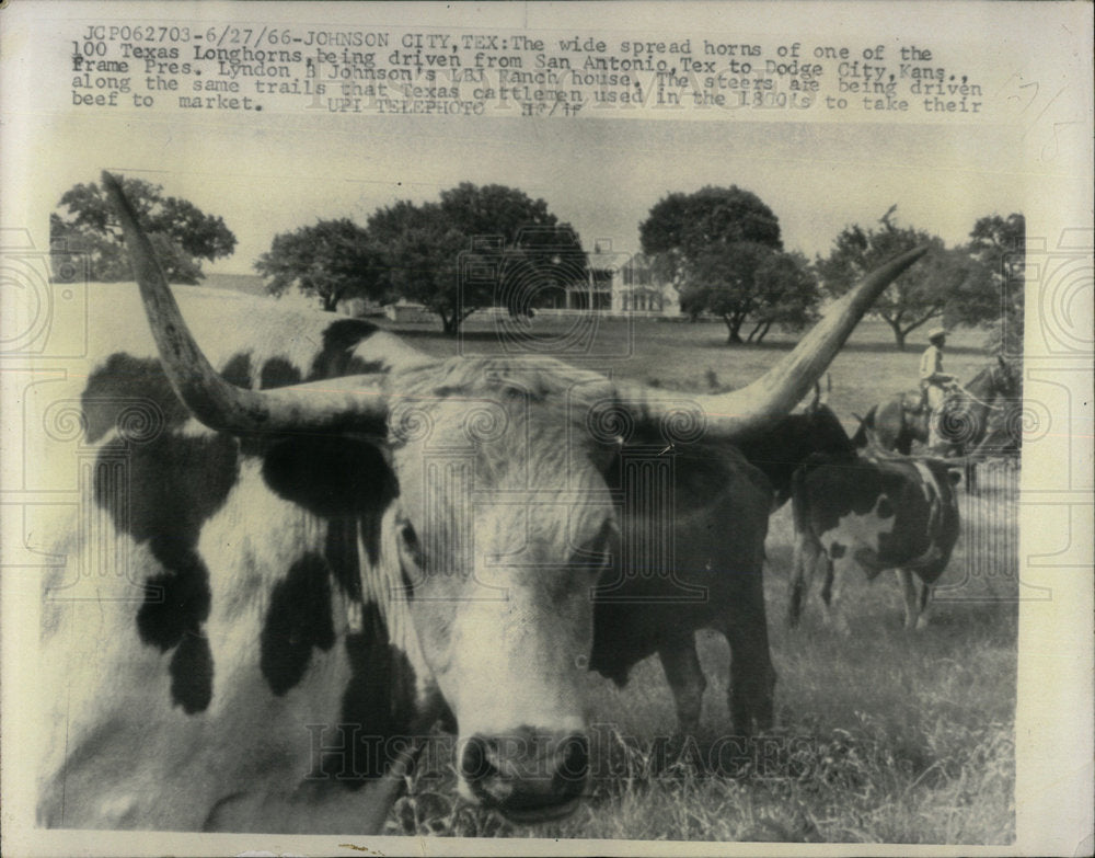 1968 Press Photo Texas Longhorns San Antonio Kansas - Historic Images