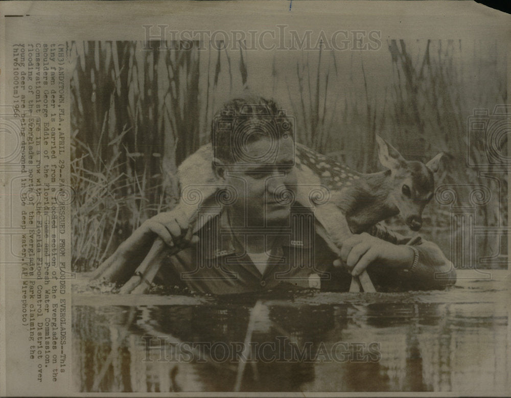 1966 Press Photo George EddieFlorida Game deer Florida - Historic Images