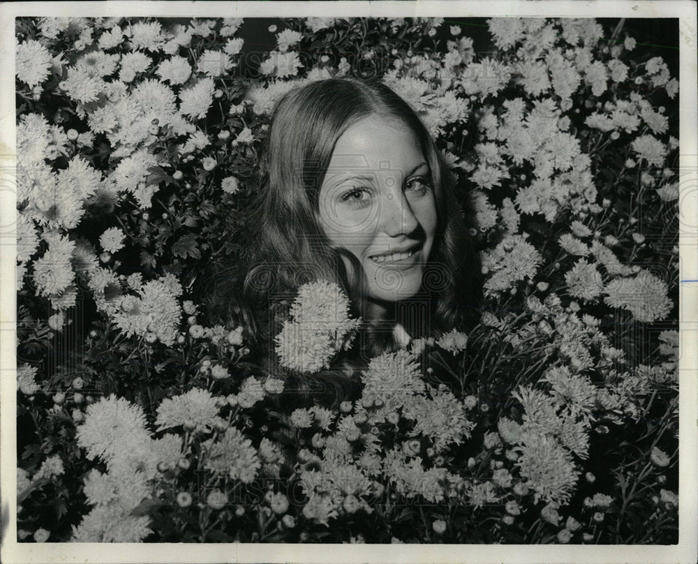 1972 Press Photo chrysanthemum Garfield Lincoln Park  - Historic Images