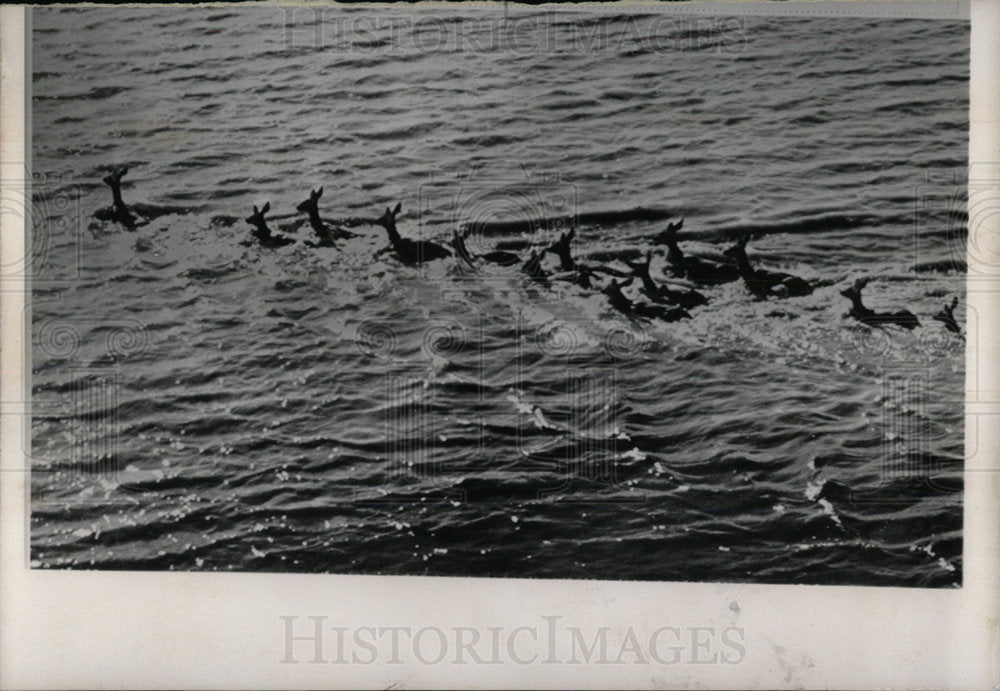 1964 Press Photo West Coast Floods - Historic Images