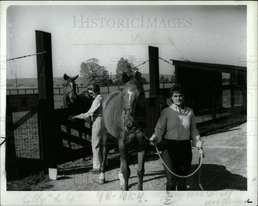 1984 Press Photo Horses - Historic Images