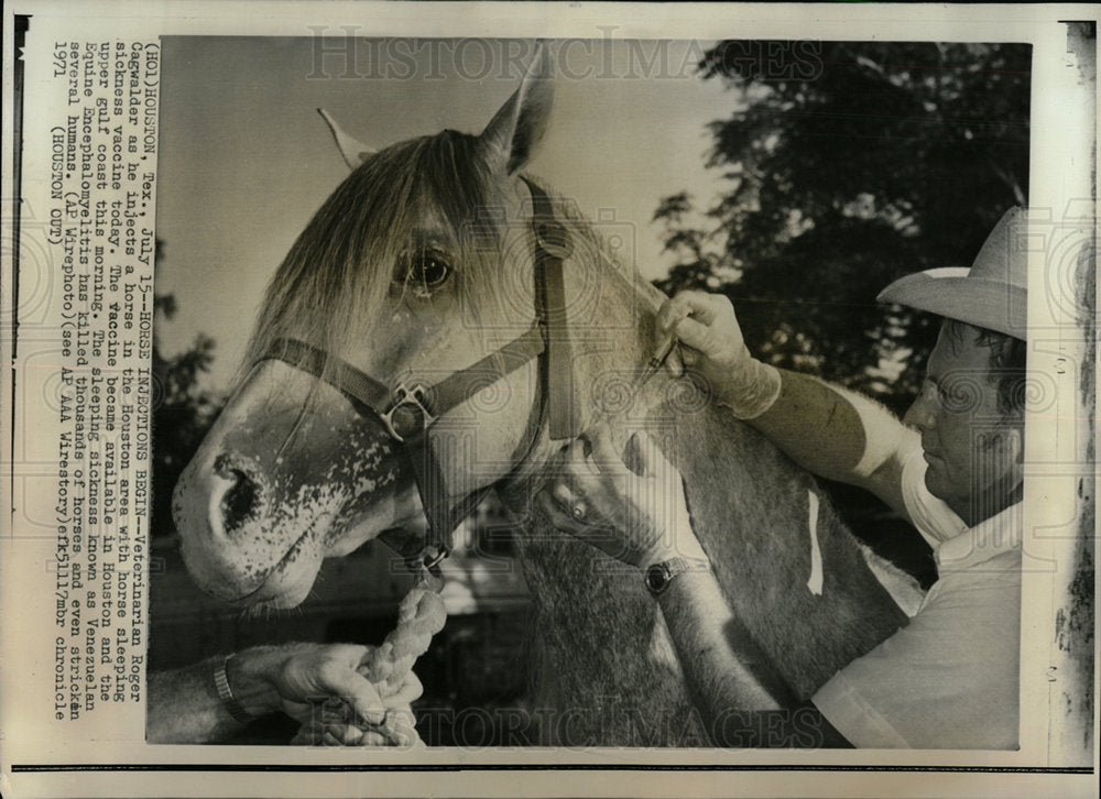 1971 Press Photo Horse Injections  - Historic Images