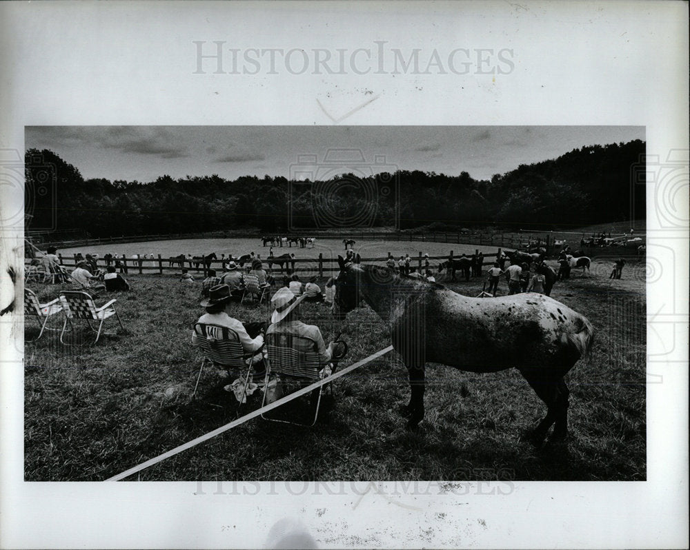 1982 Press Photo Horses &amp; Contestants At The Youth Fair - Historic Images