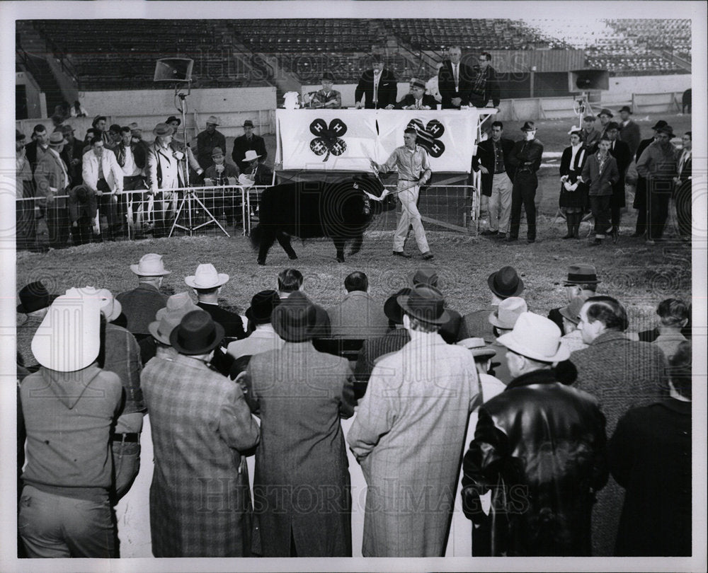 1960 Press Photo Jr Livestock Show State Fair Col - Historic Images