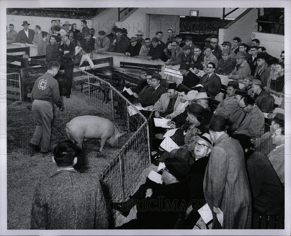 1960 Press Photo Jr. Livestock Show-State Fair  - Historic Images