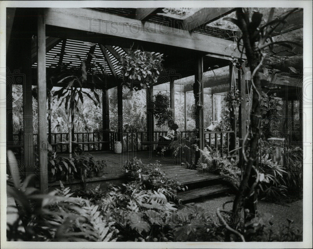 1979 Press Photo Plants Shrub Lavish decorating deck  - Historic Images