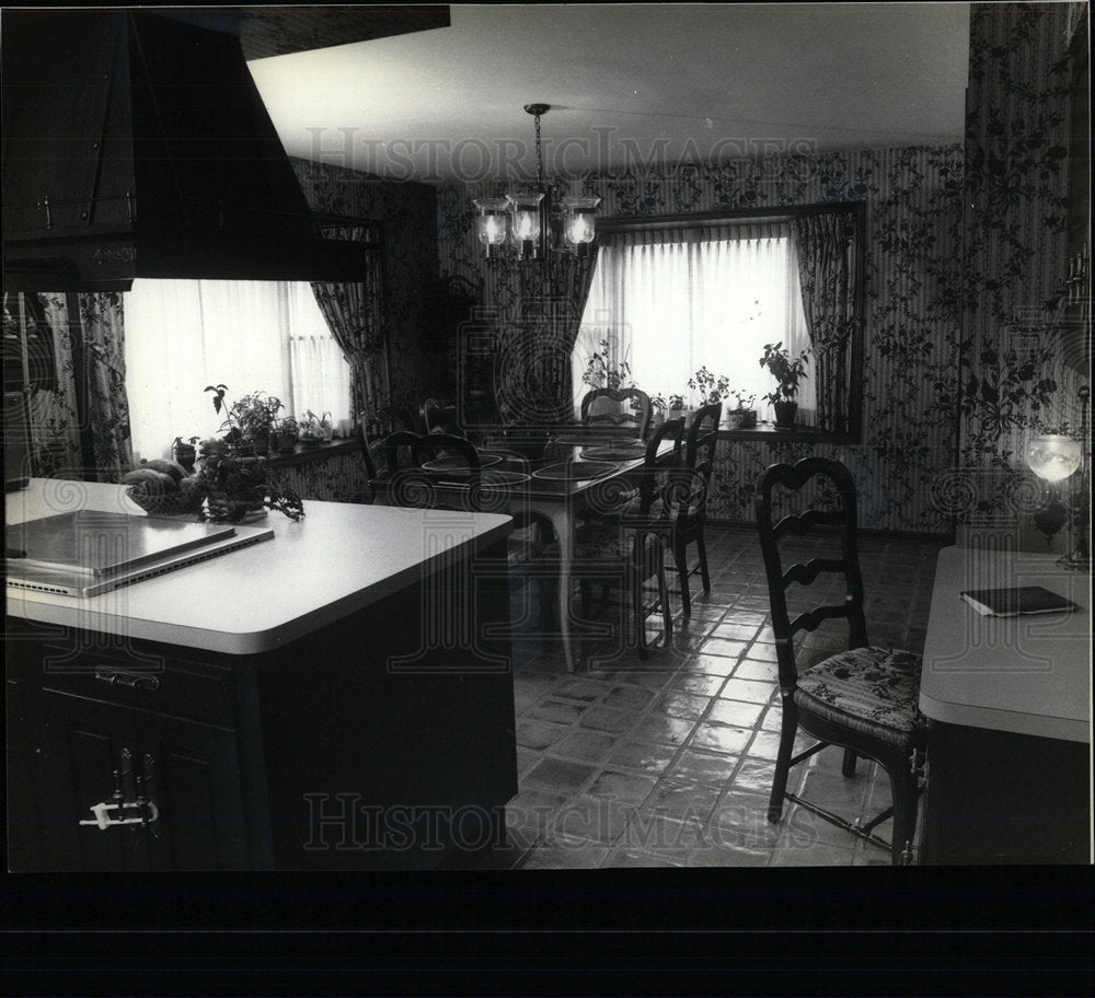 1980 Press Photo Meisner Dash kitchen interior design  - Historic Images