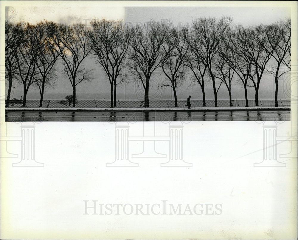 1983 Press Photo Solitary jogger braves Grant Park cold - Historic Images
