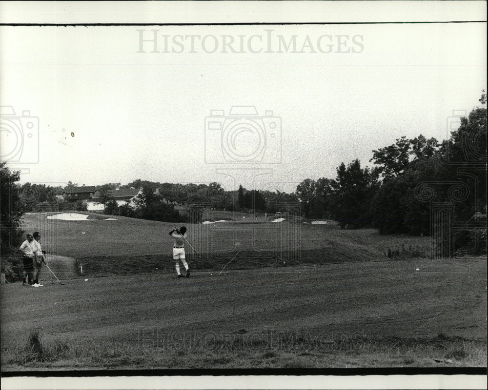 1977 Press Photo Three new holes at Cog Hill Golf cours - Historic Images