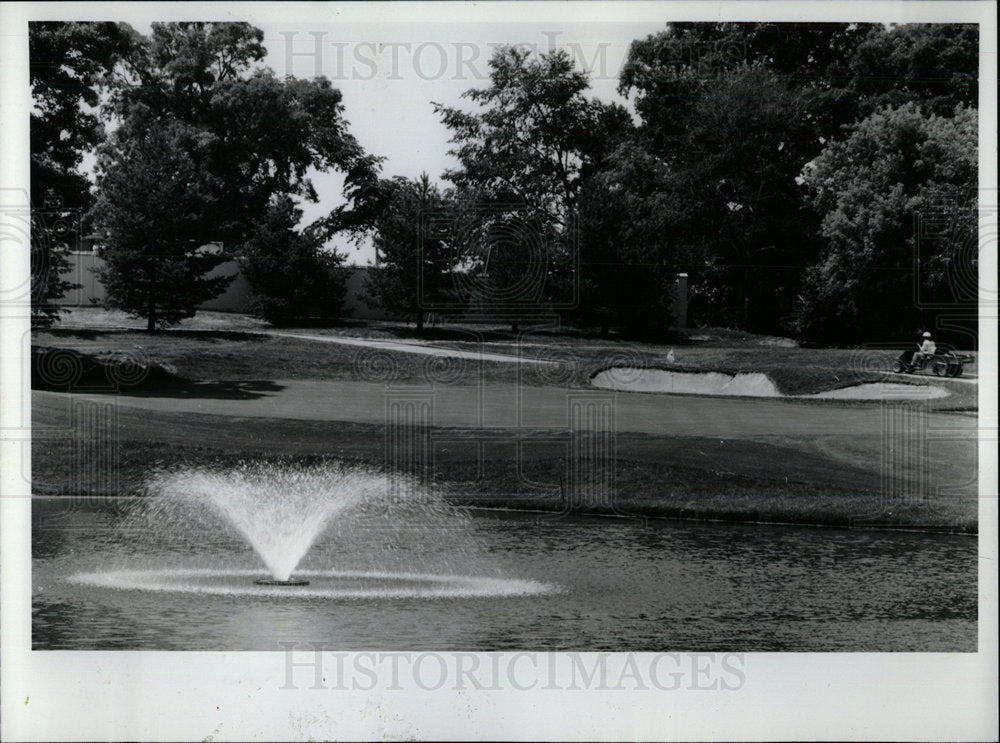 1991Press Photo Wall Constructed at 18th Green Cog-Hill - Historic Images