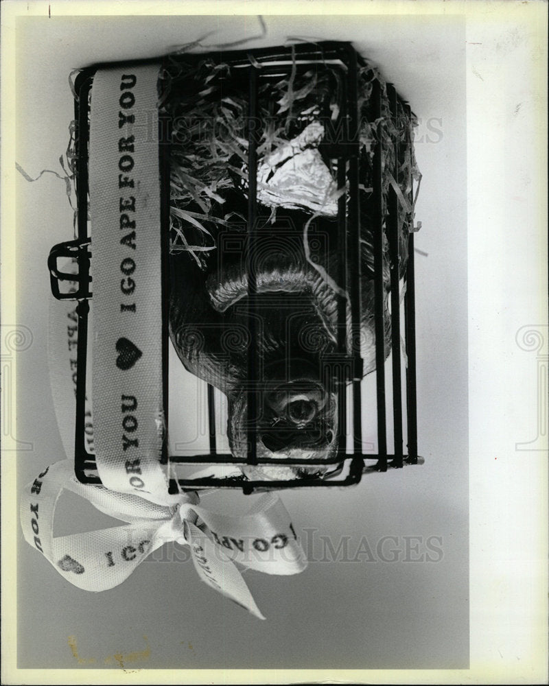 1984 Press Photo Valentine Day monkey metal cage Grove  - Historic Images