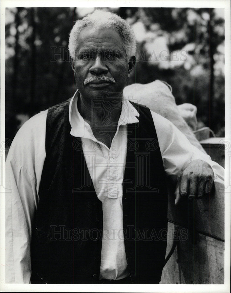 1993 Press Photo Ossie Davis Actor Director Poet - Historic Images