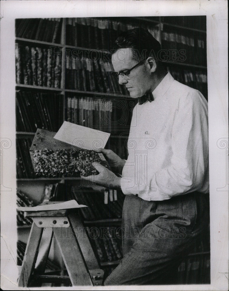 1959 Press Photo RJ Eckhart Examines Barnacles - Historic Images