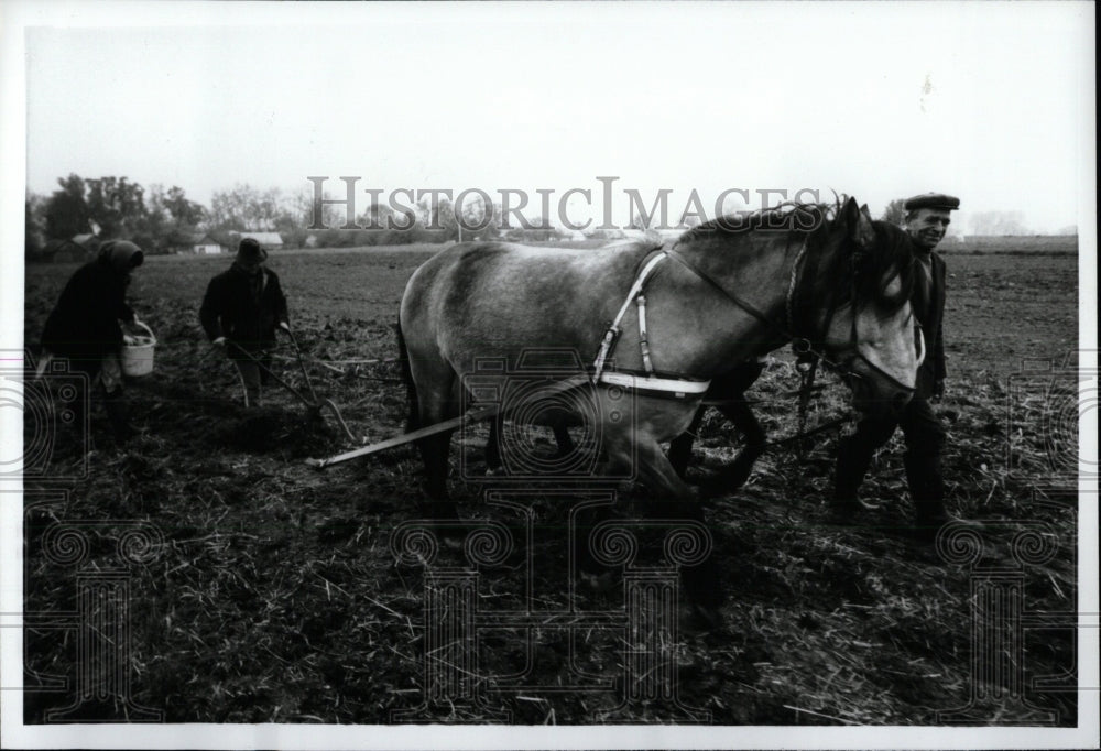 1991 Ukrainian Villagers&#39; Contaminated Farm-Historic Images