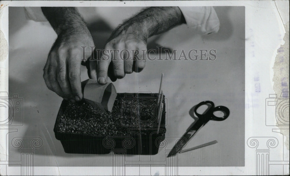 1970 Distributing Seed In Soil - Historic Images