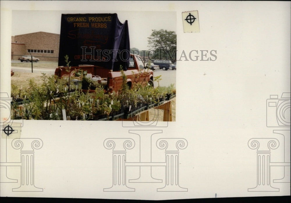 1991 Stromberry Farm Display Tables Market - Historic Images