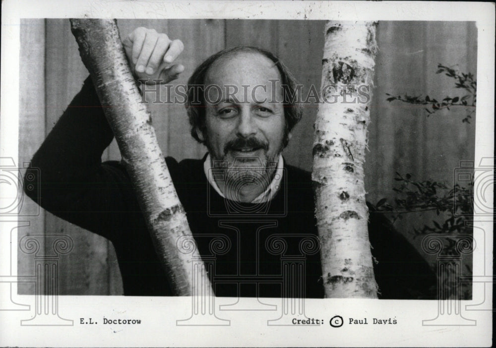 1980 E.L Doctorow Author - Historic Images