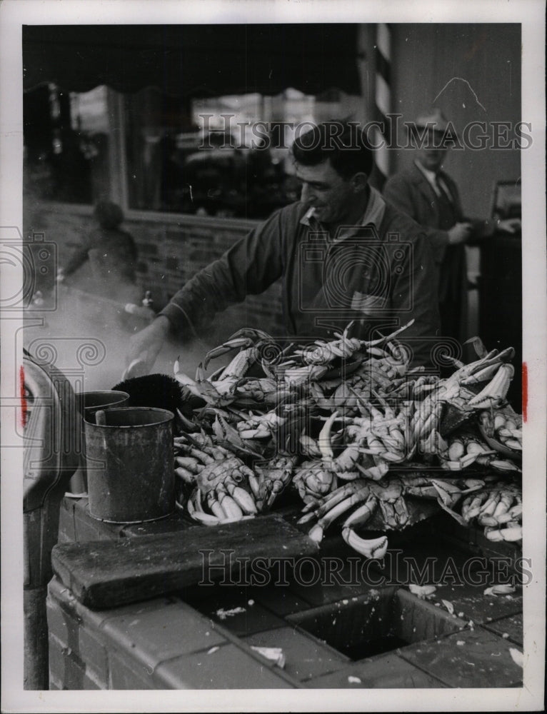 1952 Stefanie grades broke Pincers display immediately meated Grotto-Historic Images