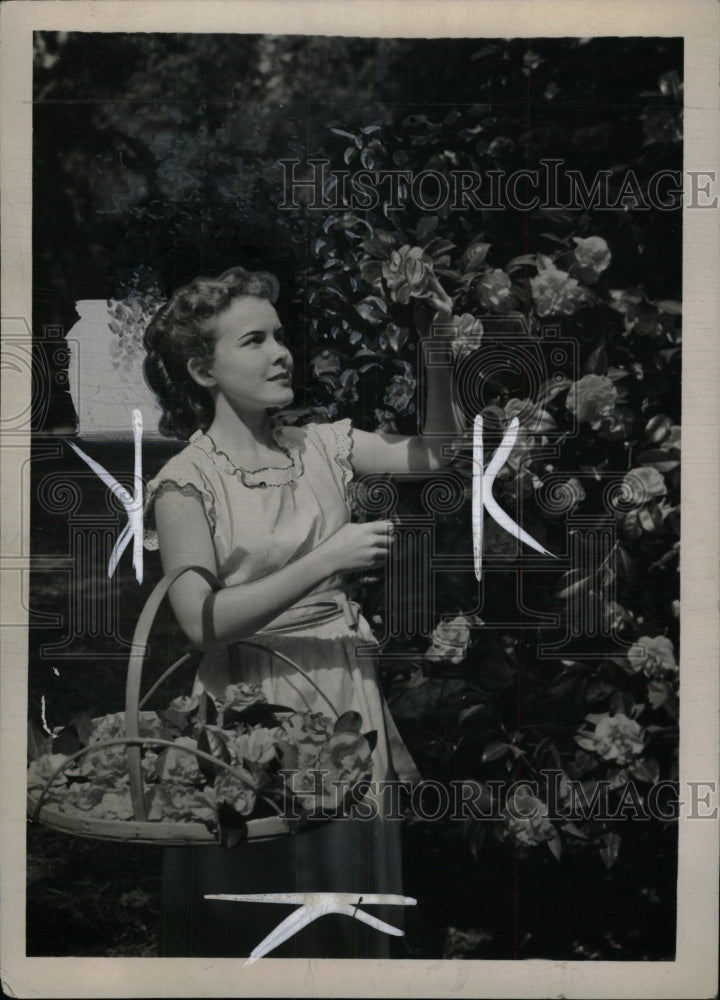 1950 Girl Camellia Flower Basket - Historic Images