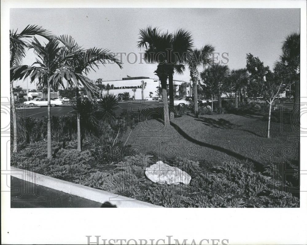 1976 Barnett Bank lawn Building Fraser Hale - Historic Images