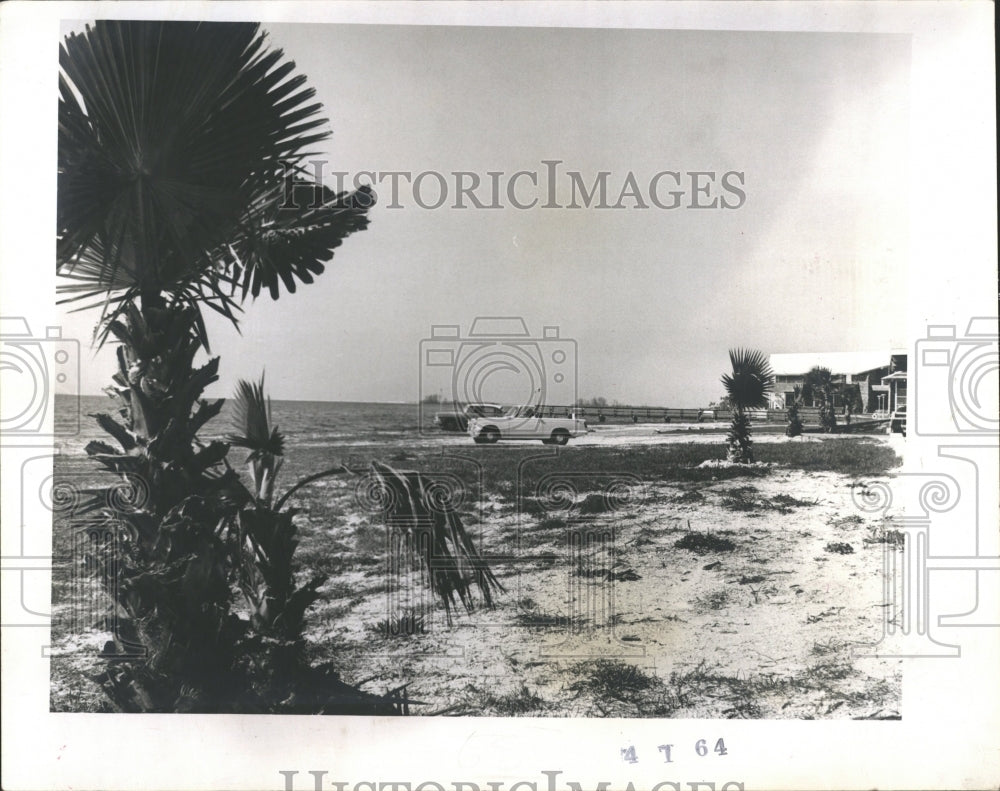 1964 Dubedin Beach landscaped - Historic Images