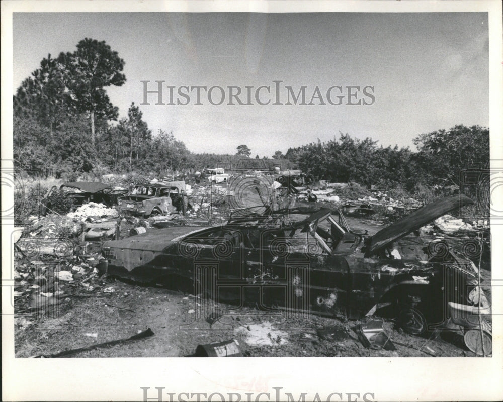 1973 Press Photo the St. Petersburg, Florida Dump- RSA06229-Historic Images