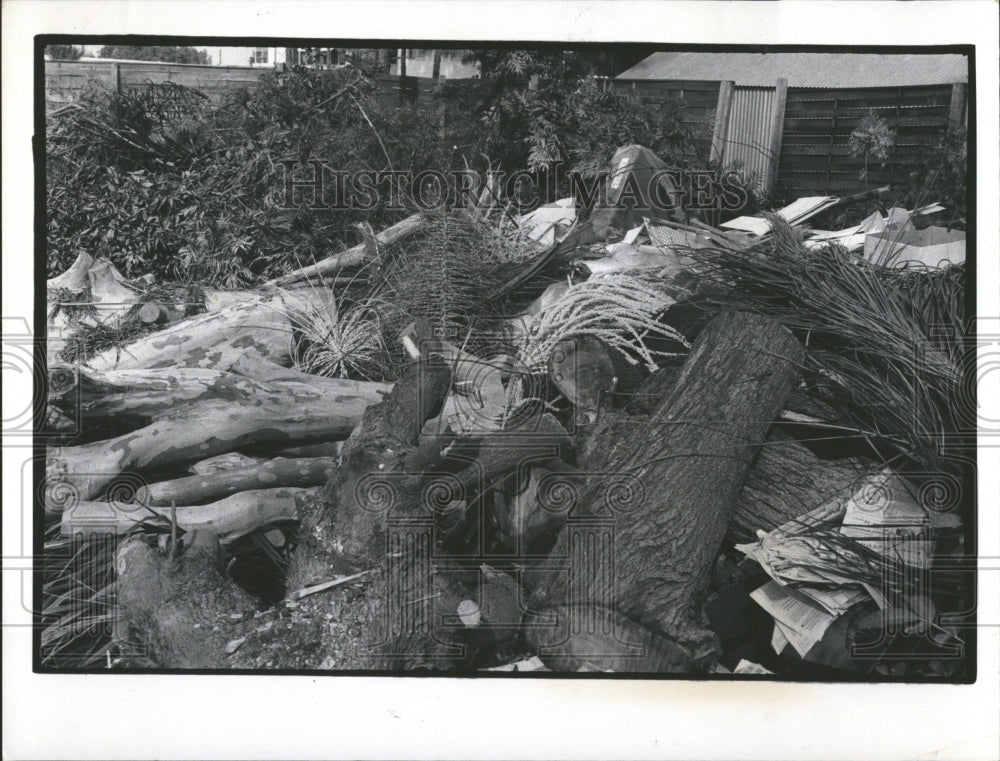 1974 Press Photo Fossil Park Dumping Site- RSA06239 - Historic Images