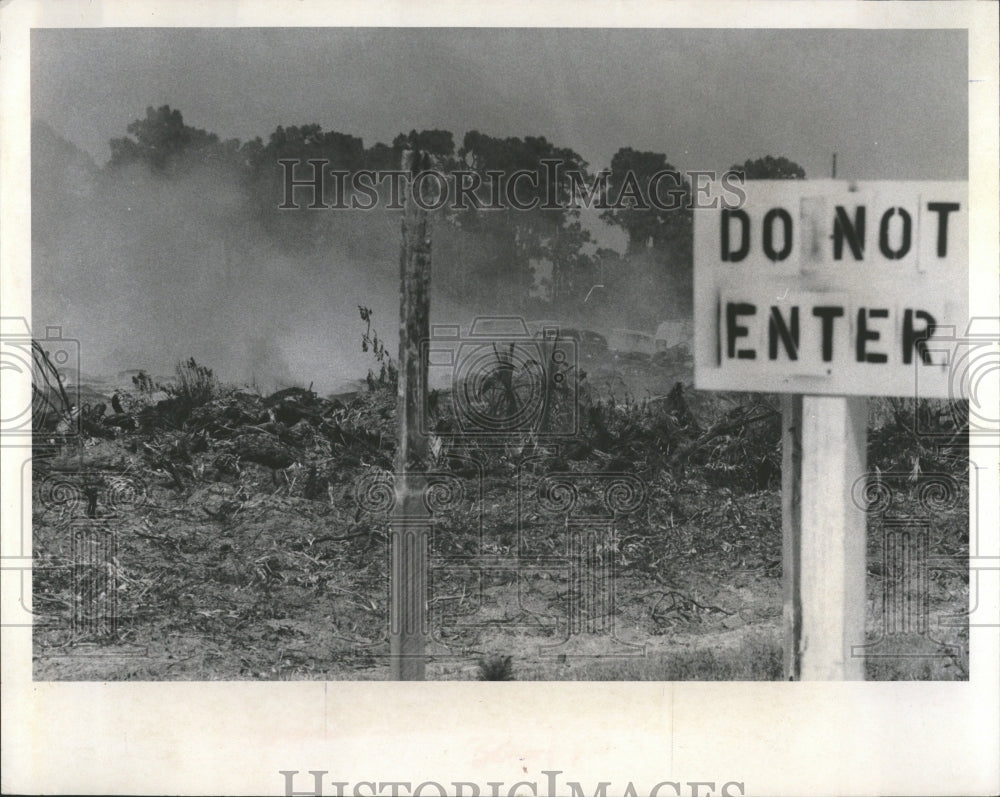 1969 Pits Dump Ricardo Ferro Landfill-Historic Images