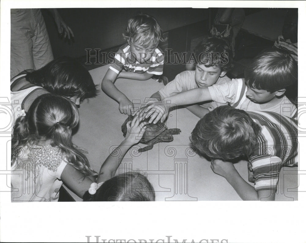 1984 San Jose Elementary School tortoise sh - Historic Images