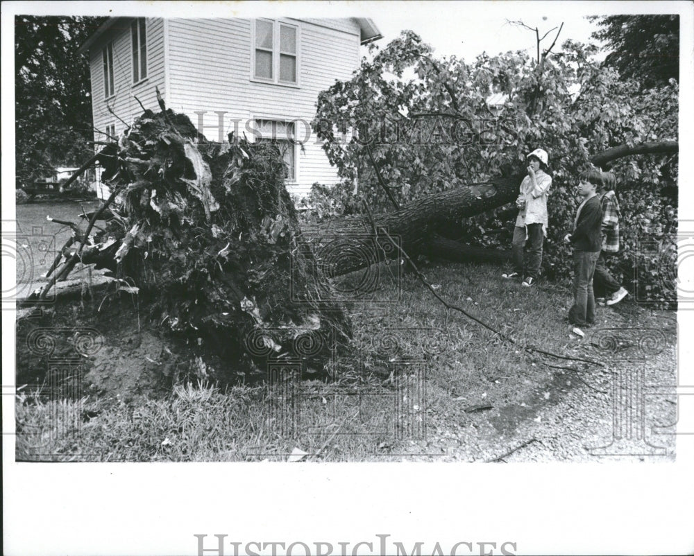 1973 Al Don Millard Eddie Pitock tree storm - Historic Images